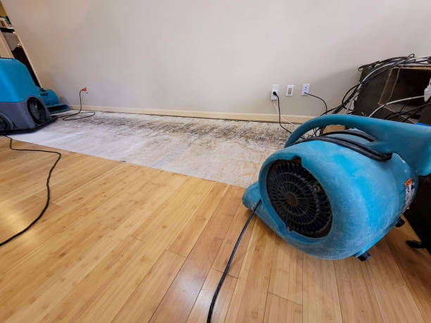 Professional Ceiling Water Damage Repair technician working in Yorkshire, OH